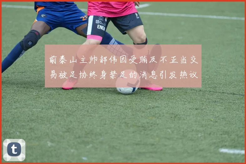 前泰山主帅郝伟因受贿及不正当交易被足协终身禁足的消息引发热议
