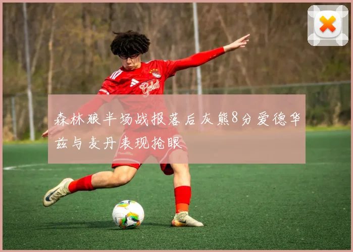 森林狼半场战报落后灰熊8分爱德华兹与麦丹表现抢眼